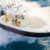 Edgewater Fishing Boat - Image 1