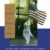 Women's History - Image 1